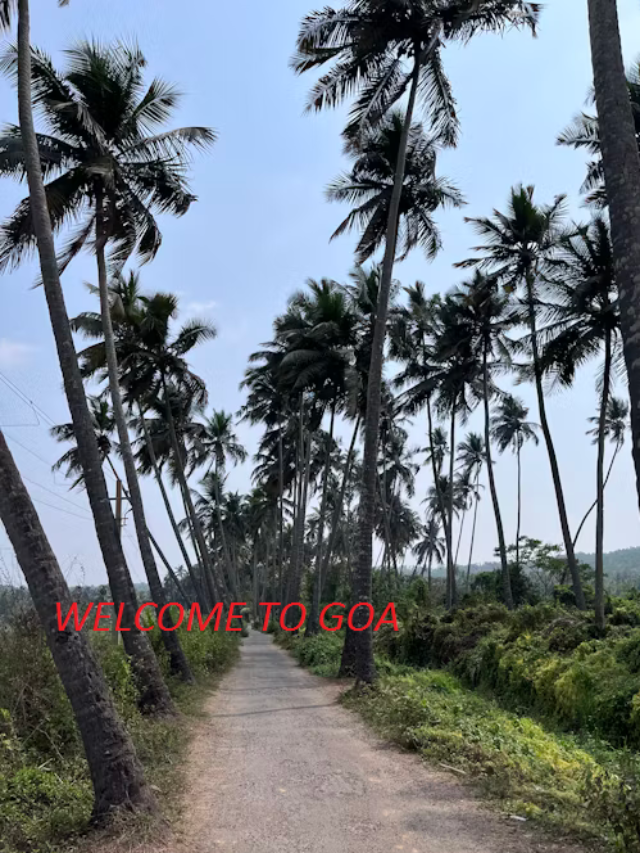 EXPLORE GOA- BEST TRAVEL SPOT